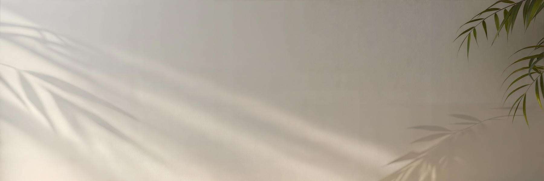plant shadows on white wall
