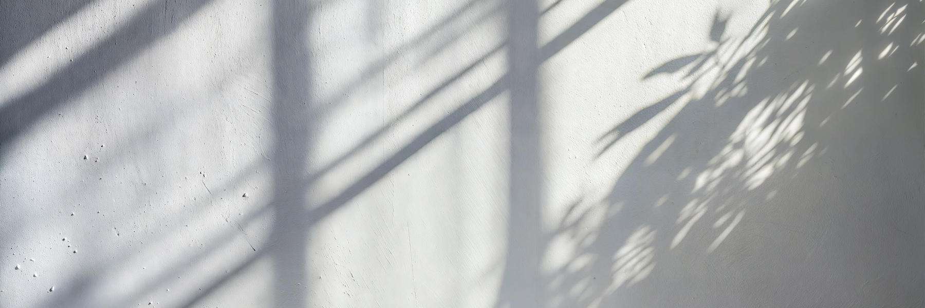 shadows on a wall